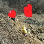 [드루와] 추가+)월 250의 삶을 사는 여자