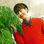 [인피니트] 햇살동우 <b>식물</b>이랑있으니 광합성효과