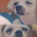 [드루와] 꼭 <b>무리</b>에 껴야할까?