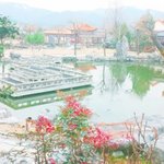 [댓글부탁해] 낼 만우절 완젼 기대된당