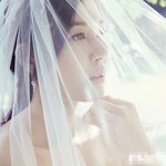 <b>품절</b> 女스타들의 고품격 화보