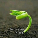 [EXO] 아직 꽃길에 뿌려진 씨-<b>발아</b> 안되서 그럼