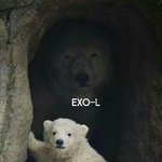 [EXO] 엑소 다음타자 ㅇㄱㄹㅇ 사진 <b>미방</b>