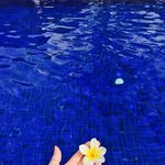 [EXO] 어그로왔으니 정상들아 배경화면 주워<b>가랑</b> ~~~~~~