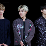 [세븐틴] 이 짤의 발림포인트