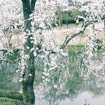 [방탄소년단] <b>화양</b>연화 화보 촬영지 왔어