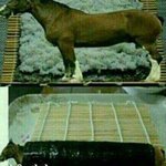 [EXO] 개새끼야 아무리 <b>김종인</b>이 싫어도 그렇지