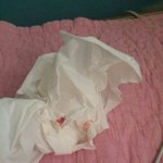 [EXO] 진짜 베톡보다가 화나서인지는 모르는데