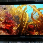 [세븐틴] 지금 케이삐에쓰1에 <b>여서</b>도 나와!!