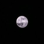 [EXO] <b>의지</b>할곳이 너네밖에없다