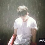 [세븐틴] 캐럿들~아