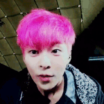 [EXO] 애들 출구 <b>봉쇄</b>짤 올림 