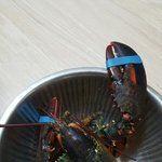 [EXO] 아씨발 우리언니 미쳤나봄