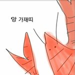 [EXO] [속보] <b>전세계</b> 해변 서식중인 바닷가재들 단체 응급실행...