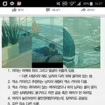 [EXO] ㅋㅇㅅㅌ수영장 <b>루머</b>