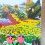 추억<b>팔</b>이 하다가 유치원 <b>때</b> 사진
