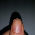 <b>손톱</b>모델 할수있음??