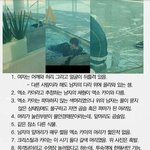 [EXO] 뭐야 다 <b>루머</b>였음