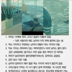 [EXO] 아까읽어보란<b>글</b>올린쓰닌데