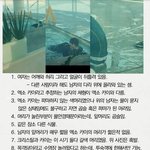 [EXO] ㅍㅂ도 아는사실 <b>지들</b>끼리 정신승리란