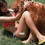 좋다 <b>이짓</b>