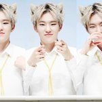 [세븐틴] 우리 팬톡 달라진점.