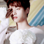 [VIXX] <b>컴백</b>기념 짤<b>파티</b>