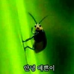 [EXO] 엑소도 인간적으로 알아야함
