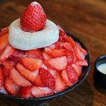 이제 곧 <b>빙수</b>의 계절이 온다