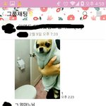 가족단체 <b>톡</b><b>방</b>인데 우리엄마 ㅋㅋㅋㅋ