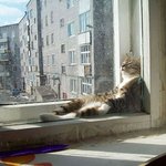 못생아 <b>보고</b><b>시</b>푸