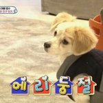 [EXO] 나 방금일어났는데 조카<b>병신</b>같은꿈꿨음