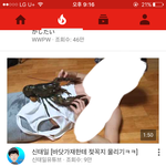 [EXO] ㅅㅂ 주위가 다 바닷가<b>재야</b>