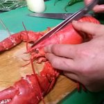 [EXO] 팬에게 <b>응징</b>당하는 카이.jpg