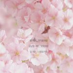 [방탄소년단] 호석이 레전드 <b>명언</b>(+스밍인증)