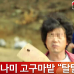 [난붕싸] 오늘 날씨에 땡기는 아이스크림!! 다들 뭐 좋아하시나요...