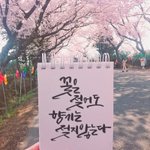 [댓글부탁해] 꽃펴서 써본 <b>캘리</b>그라피