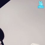 [세븐틴] 개미쳤어 씨바ㅠㅠㅠㅠㅠㅠㅠ