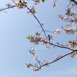난 왜 아파서 관심 받는게 좋지