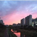 [세븐틴] ㅅㄷ)일요일쯤인가에