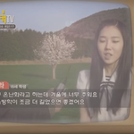 [프듀101] 프로듀스 청춘뮤직 <b>강시</b>라 과거