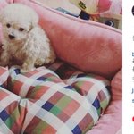 [<b>B1A4</b>] 바로네 새 가족