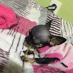 떠나보낸 <b>슬픔</b>..어떻게 감당하시나요