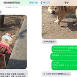 [드루와] 쿠팡맨이 살벌한 개를 만났을 때 (뉴스)