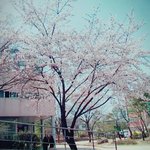 [댓글부탁해] <b>치킨</b>이랑 지하철