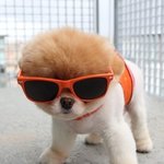 <b>산책</b>하고왔어 난쟁아