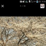 [세븐틴] <b>캐럿들</b>!!이것좀봐주세여