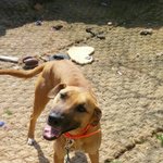 [동행세상] <b>소망</b>이에게도 가족이 되어주세요.