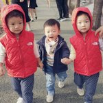 벚꽃구경간 대박이네