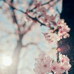 [댓글부탁해] 살면서 본 <b>성씨</b>들 중 가장 특이했던거